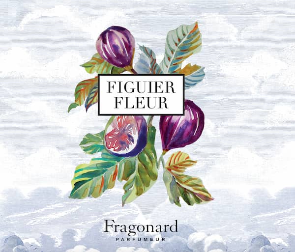 Illustration packaging Fragonard Figuier Fleur - Hôtel Cordélia Paris
